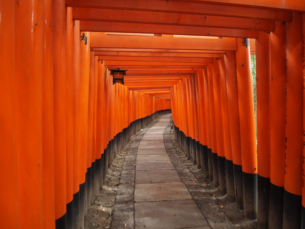 どこに行き着くのか…