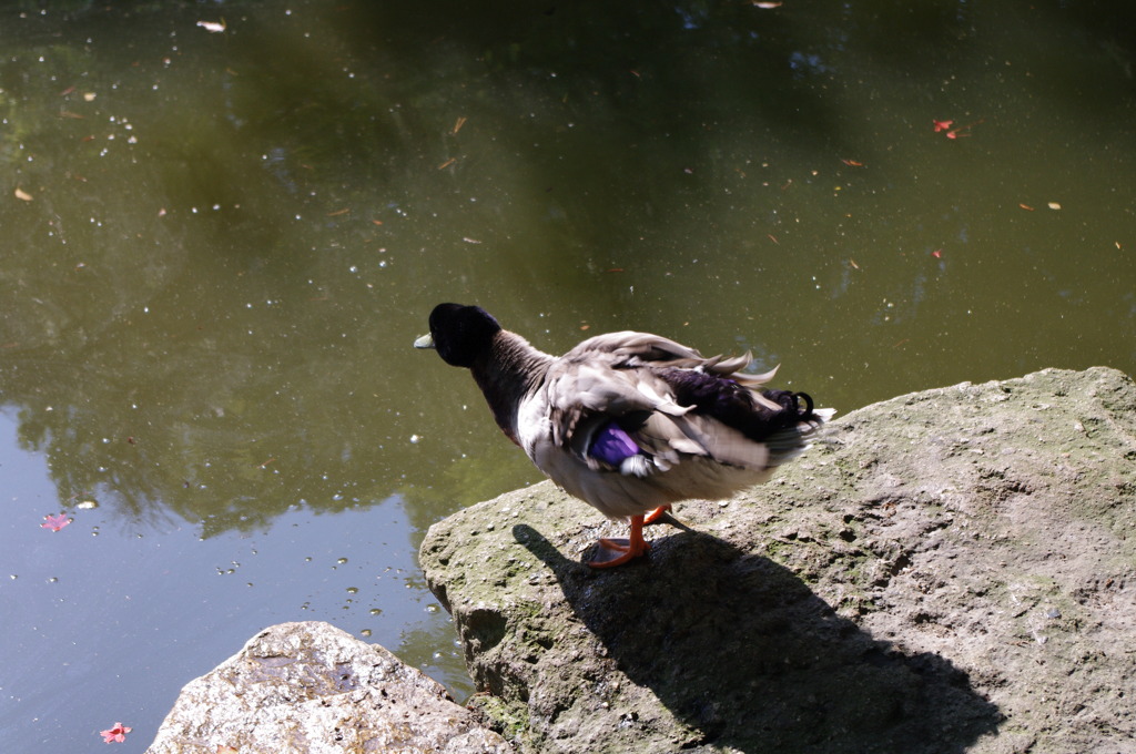 びびり。。