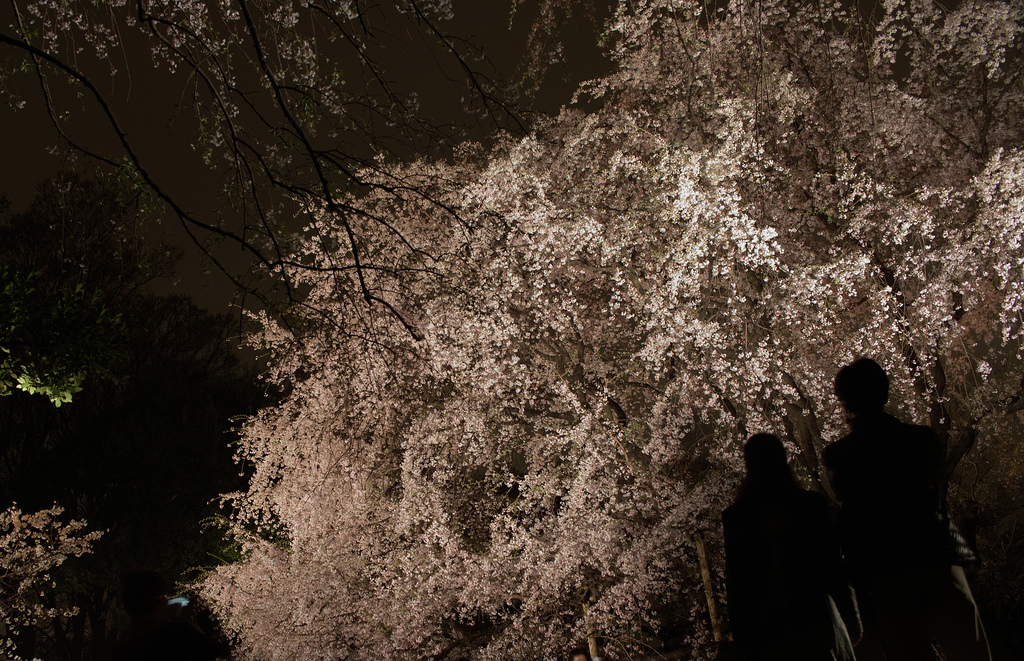 4492101932_0d2c6b5ea3_b