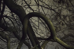P1050226