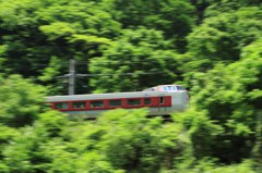 緑の中の特急列車