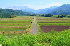 奥大山