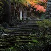 色付く鐘つき堂へ