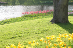 20100429_showakinen_1757
