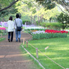 20100429_showakinen_1822