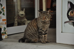 谷中ねこ