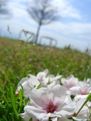 CIMG9279