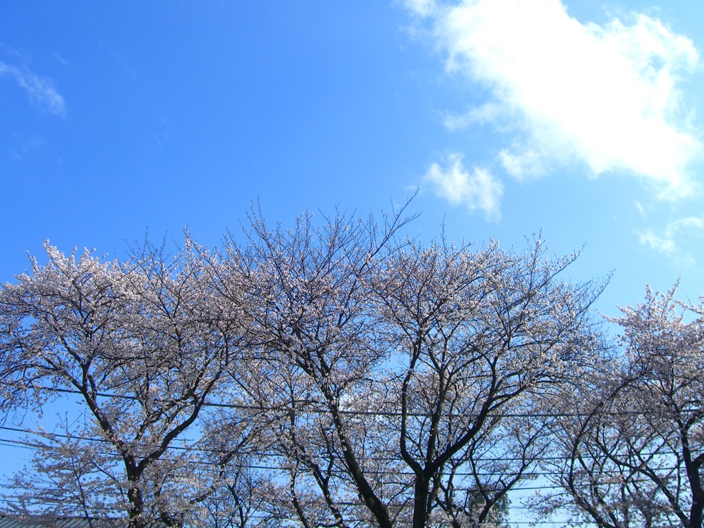 CIMG9177