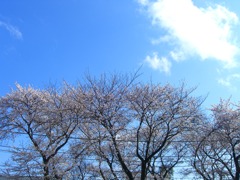 CIMG9177
