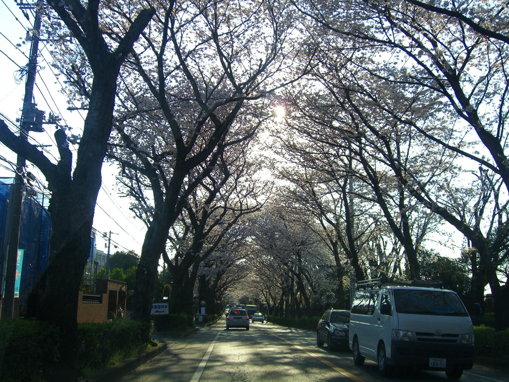 CIMG9248