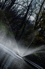水の粒