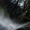 水の粒