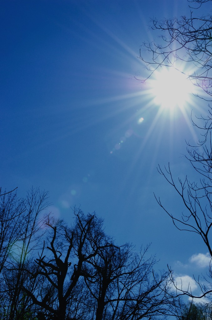 春の太陽sun