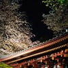 東京散歩-夜桜
