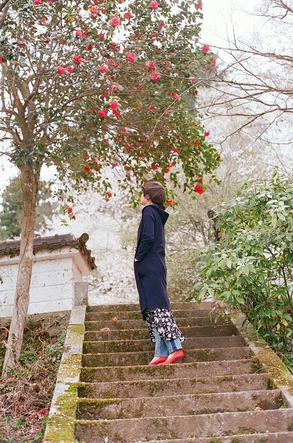 大きな椿の花