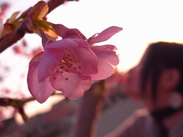 照らす