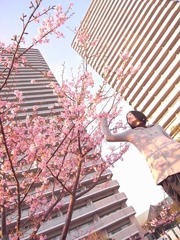 河津桜