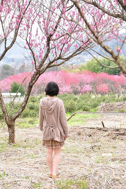 桃の花