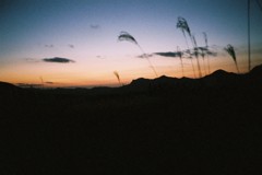 曽爾高原夕焼け
