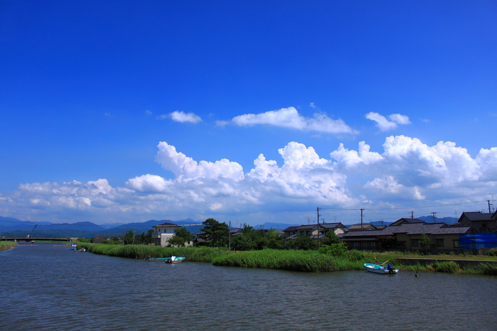 夏の雲