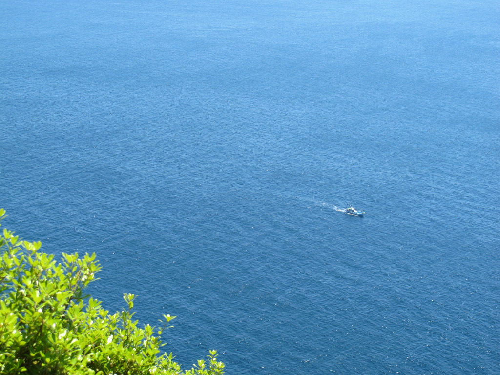 九州最東端の海