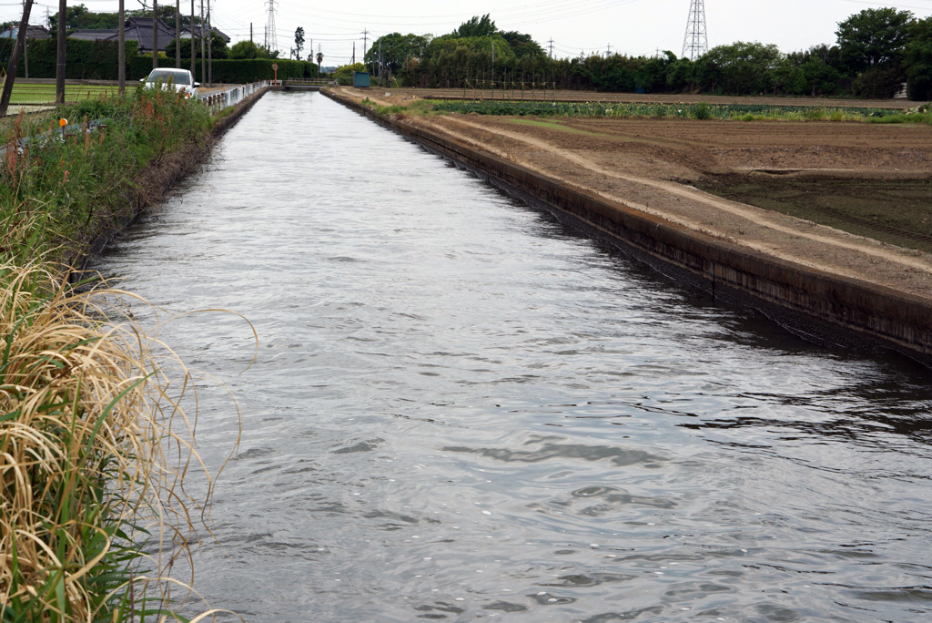 田んぼに向う水の流れ