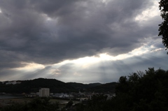 ひかりのカーテン