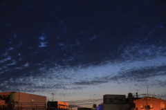 夜明け