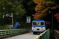 紅葉とバス
