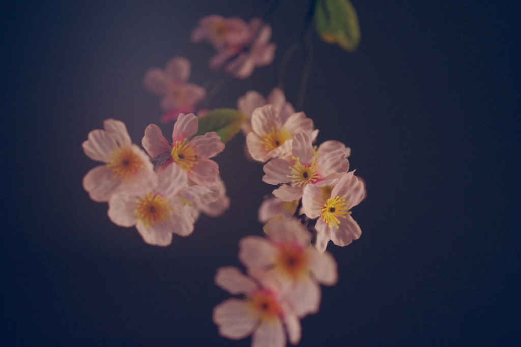 偽花