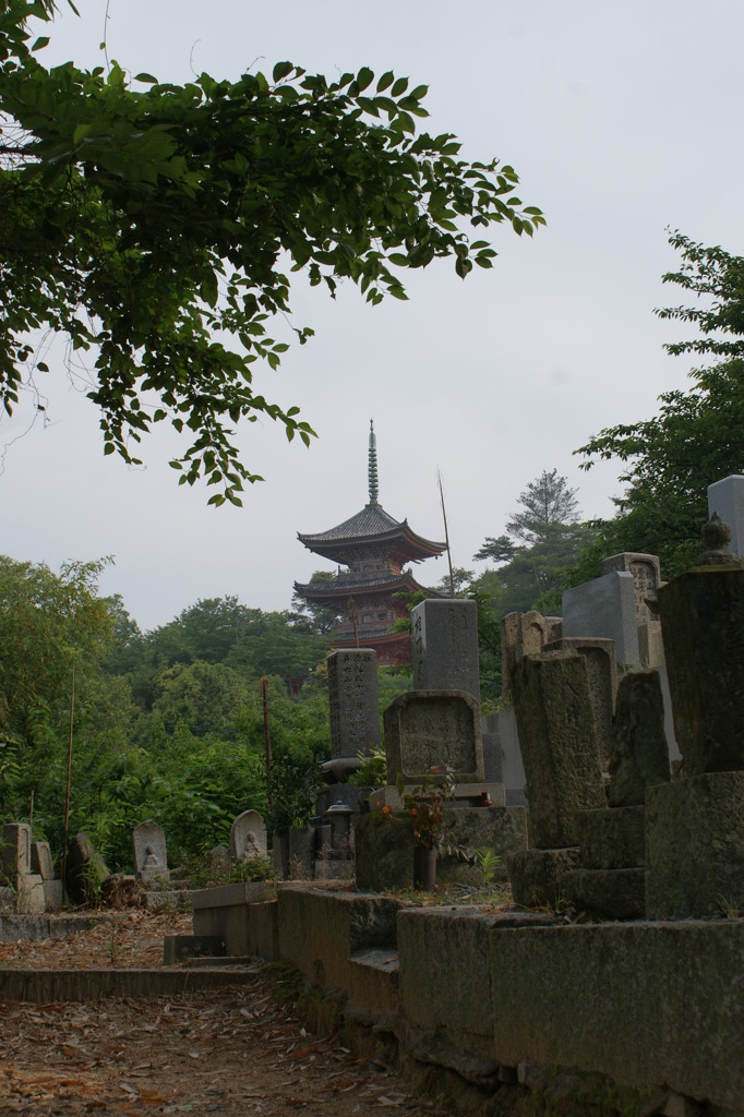 生口島　山１