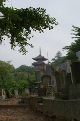 生口島　山１