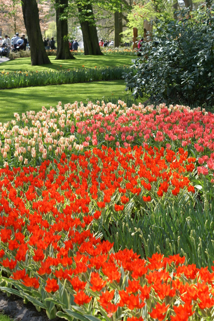 花の公園