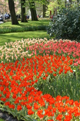 花の公園