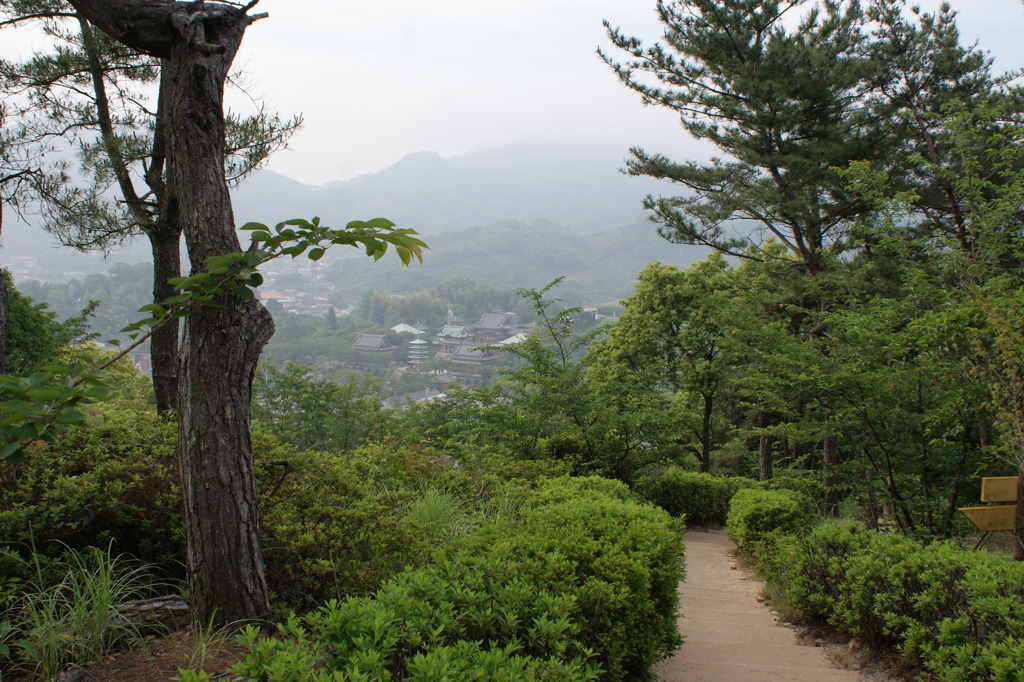 生口島　山３