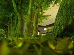 夜の小景