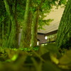 夜の小景