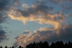 雲竜