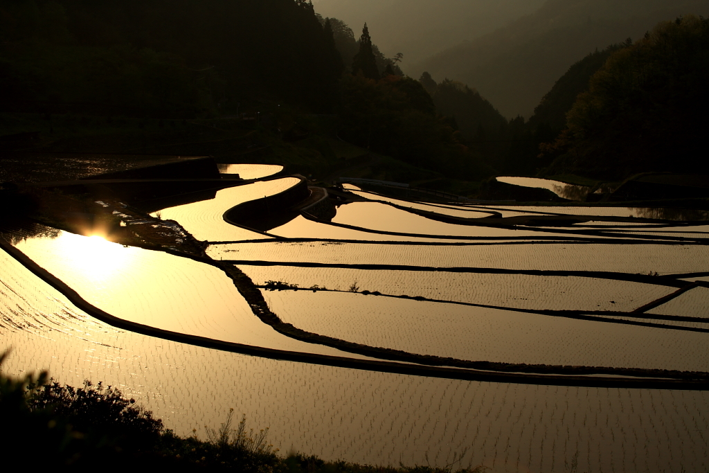 棚田の朝