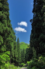 白神山地へつづく・・・・