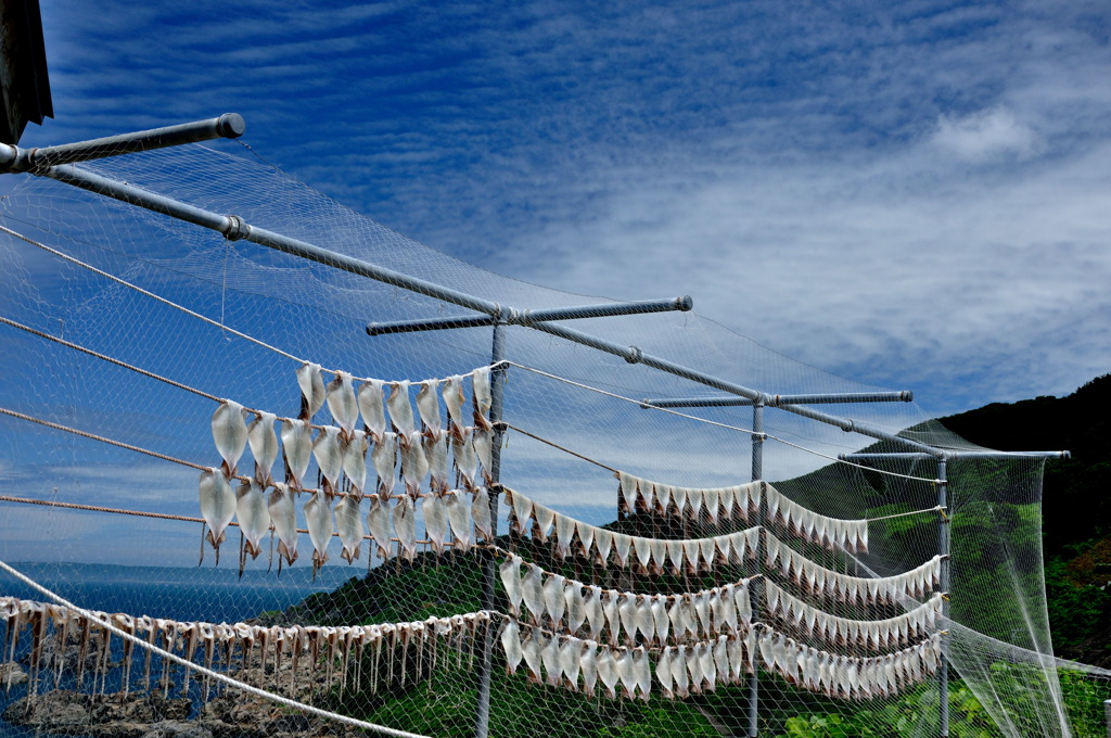 梅雨明け宣言！