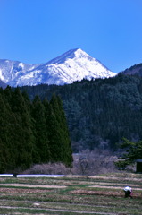 北国八峰町、真瀬岳麓の遅い春