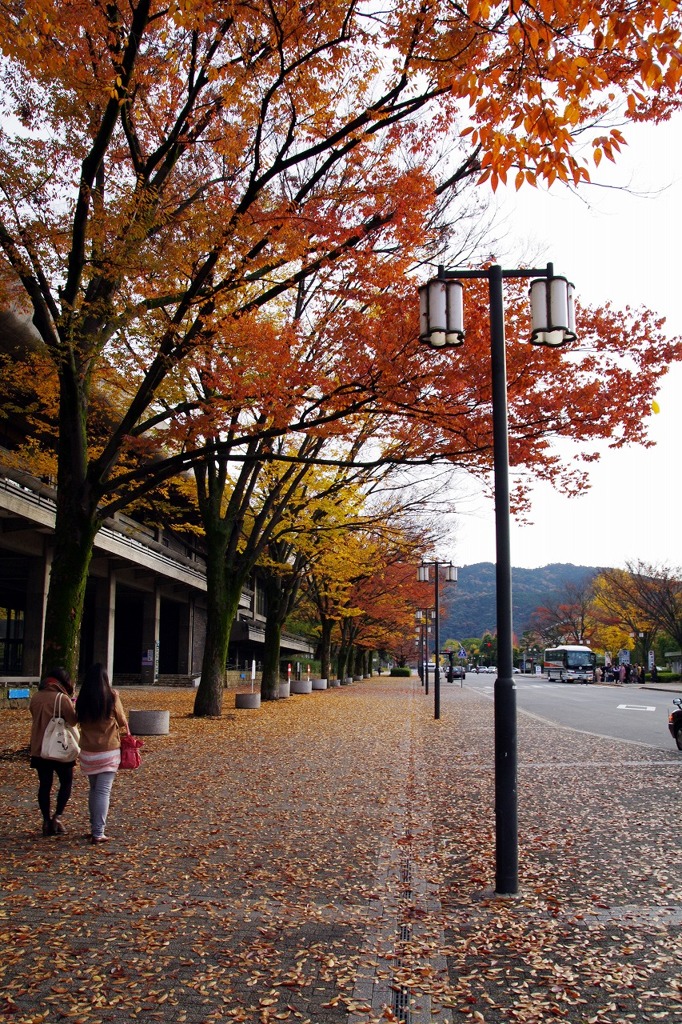 京都での何気ない1枚。