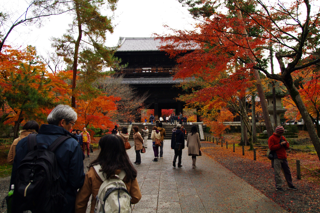 紅葉シーズン。