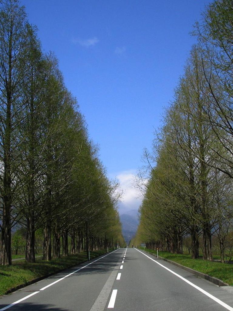 どこまで行こうか。