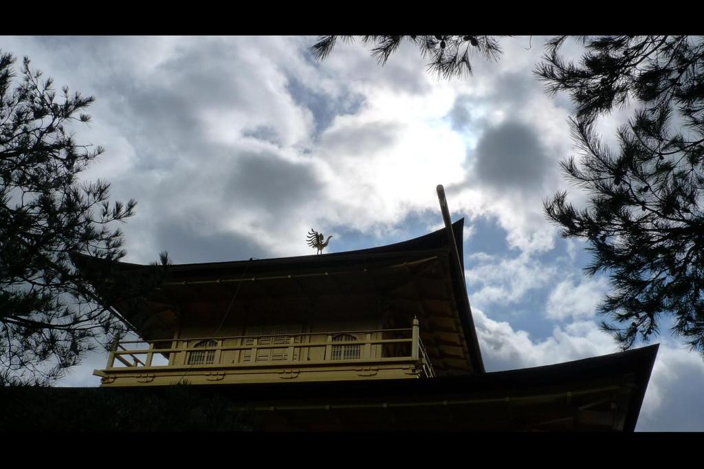 鳳凰 いざ天空へ。