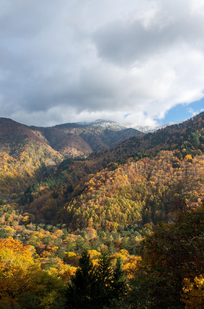 光と影。　紅葉と雪化粧。