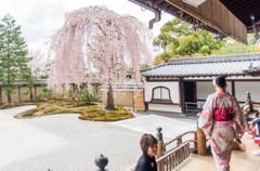 日本の風情。