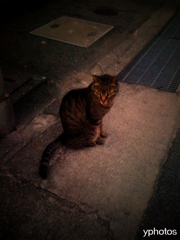 iphone 016