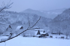 雪化粧
